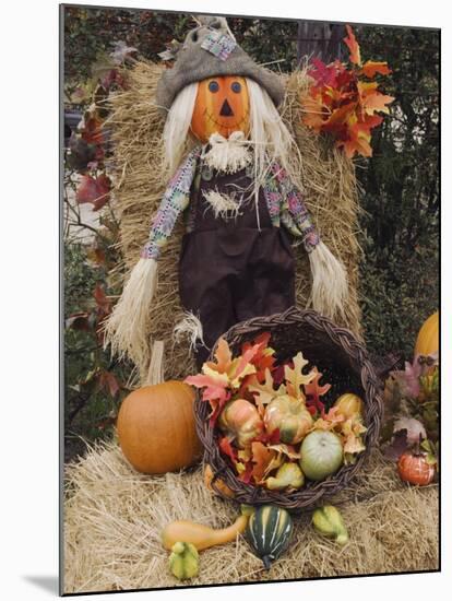 Halloween Decoration, Hill Country, Texas, USA-Rolf Nussbaumer-Mounted Photographic Print