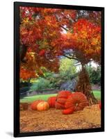 Halloween Decorations of Pumpkins and Corn Stalks in Front of a Home-John Alves-Framed Photographic Print