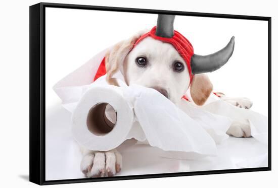 Halloween Devil Dog-Stephanie Zieber-Framed Stretched Canvas