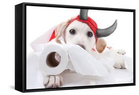 Halloween Devil Dog-Stephanie Zieber-Framed Stretched Canvas