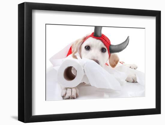 Halloween Devil Dog-Stephanie Zieber-Framed Photographic Print