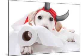 Halloween Devil Dog-Stephanie Zieber-Mounted Photographic Print