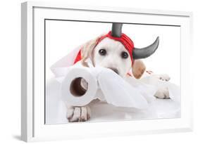 Halloween Devil Dog-Stephanie Zieber-Framed Photographic Print