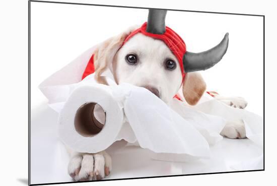 Halloween Devil Dog-Stephanie Zieber-Mounted Photographic Print