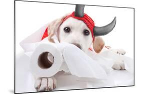 Halloween Devil Dog-Stephanie Zieber-Mounted Photographic Print