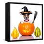 Halloween Dog as Witch-Javier Brosch-Framed Stretched Canvas