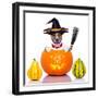 Halloween Dog as Witch-Javier Brosch-Framed Premium Photographic Print