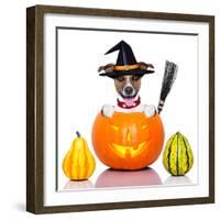 Halloween Dog as Witch-Javier Brosch-Framed Photographic Print