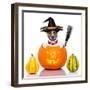 Halloween Dog as Witch-Javier Brosch-Framed Photographic Print