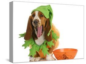 Halloween Dog - Basset Hound Dressed Up Like a Pumpkin Sitting Beside Trick or Treat Bowl-Willee Cole-Stretched Canvas