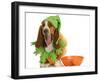 Halloween Dog - Basset Hound Dressed Up Like a Pumpkin Sitting Beside Trick or Treat Bowl-Willee Cole-Framed Photographic Print