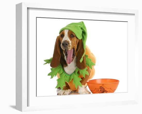 Halloween Dog - Basset Hound Dressed Up Like a Pumpkin Sitting Beside Trick or Treat Bowl-Willee Cole-Framed Photographic Print