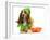 Halloween Dog - Basset Hound Dressed Up Like a Pumpkin Sitting Beside Trick or Treat Bowl-Willee Cole-Framed Photographic Print