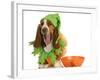 Halloween Dog - Basset Hound Dressed Up Like a Pumpkin Sitting Beside Trick or Treat Bowl-Willee Cole-Framed Photographic Print