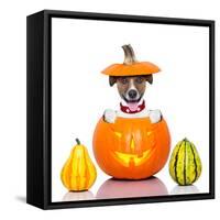 Halloween Dog-Javier Brosch-Framed Stretched Canvas