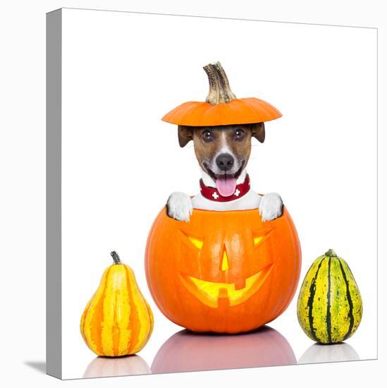 Halloween Dog-Javier Brosch-Stretched Canvas