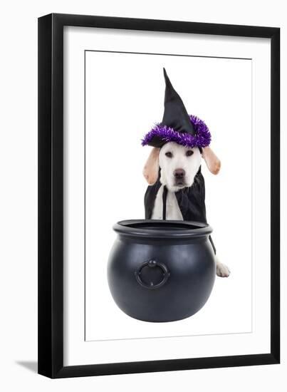 Halloween Dog-Stephanie Zieber-Framed Photographic Print