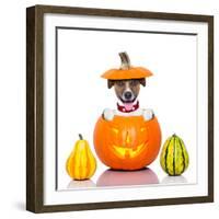 Halloween Dog-Javier Brosch-Framed Photographic Print