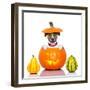 Halloween Dog-Javier Brosch-Framed Photographic Print