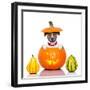 Halloween Dog-Javier Brosch-Framed Photographic Print