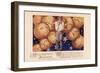 Halloween Eight-Vintage Apple Collection-Framed Giclee Print