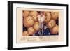 Halloween Eight-Vintage Apple Collection-Framed Giclee Print