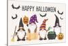 Halloween Gnomes I-Mary Urban-Stretched Canvas