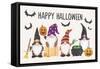 Halloween Gnomes I-Mary Urban-Framed Stretched Canvas