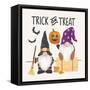 Halloween Gnomes III-Mary Urban-Framed Stretched Canvas