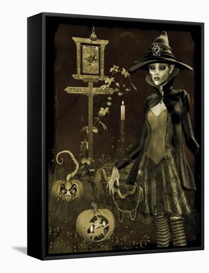 Halloween Graveyard-C-Jean Plout-Framed Stretched Canvas