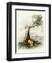 Halloween Island-Art and a Little Magic-Framed Giclee Print