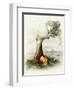 Halloween Island-Art and a Little Magic-Framed Giclee Print