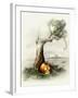 Halloween Island-Art and a Little Magic-Framed Giclee Print