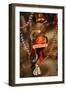 Halloween IV-Philip Clayton-thompson-Framed Photographic Print