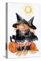 Halloween Little Witches Secret-sylvia pimental-Stretched Canvas