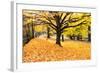 Halloween Outdoor Scenic-George Oze-Framed Photographic Print