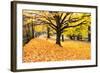 Halloween Outdoor Scenic-George Oze-Framed Photographic Print