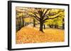 Halloween Outdoor Scenic-George Oze-Framed Photographic Print