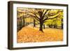 Halloween Outdoor Scenic-George Oze-Framed Premium Photographic Print