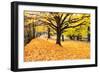 Halloween Outdoor Scenic-George Oze-Framed Premium Photographic Print