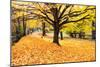 Halloween Outdoor Scenic-George Oze-Mounted Premium Photographic Print