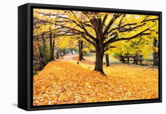 Halloween Outdoor Scenic-George Oze-Framed Stretched Canvas