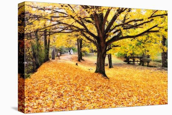 Halloween Outdoor Scenic-George Oze-Stretched Canvas