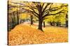 Halloween Outdoor Scenic-George Oze-Stretched Canvas