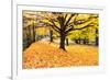 Halloween Outdoor Scenic-George Oze-Framed Photographic Print