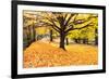 Halloween Outdoor Scenic-George Oze-Framed Photographic Print