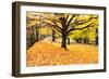 Halloween Outdoor Scenic-George Oze-Framed Photographic Print