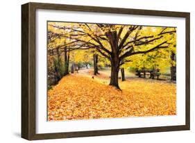 Halloween Outdoor Scenic-George Oze-Framed Photographic Print