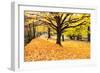 Halloween Outdoor Scenic-George Oze-Framed Photographic Print