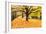 Halloween Outdoor Scenic-George Oze-Framed Photographic Print